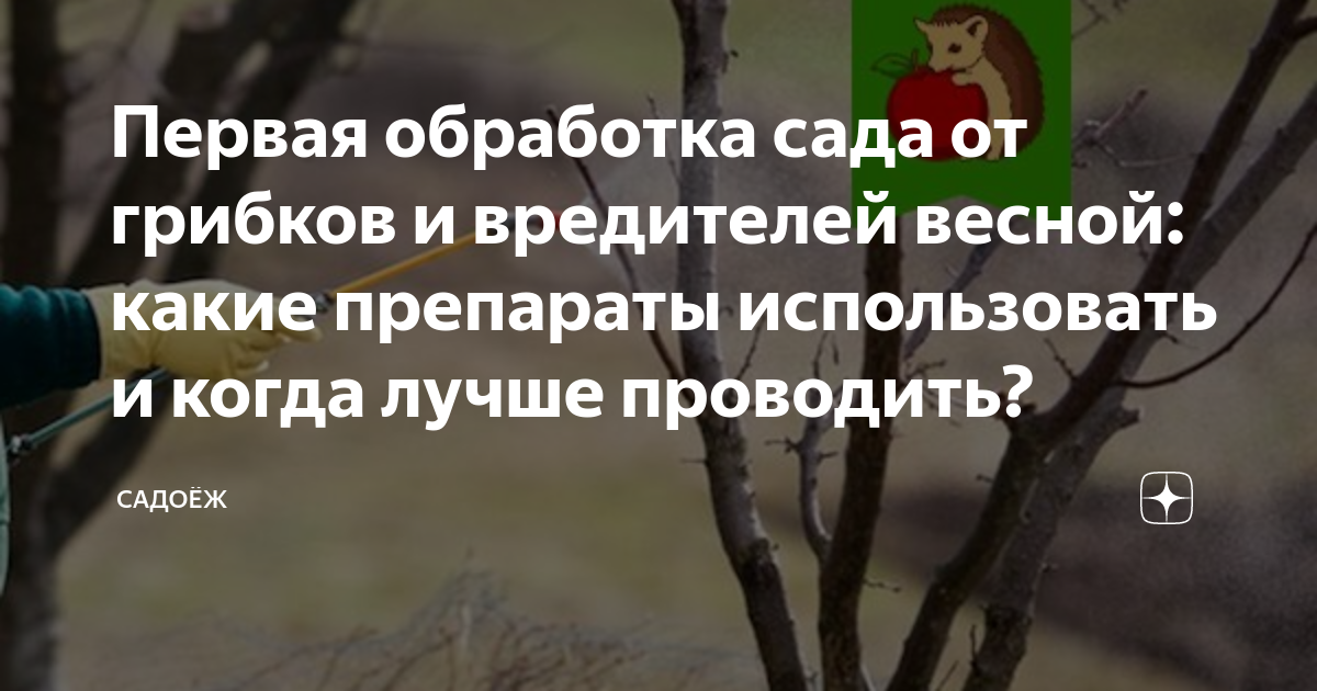 Первая обработка сада от грибков и вредителей весной: какие препараты ...