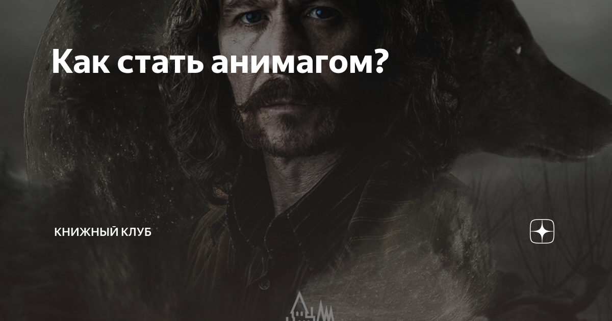 Сириус блэк анимаг. Сириус блэк и римус люпин. The marauders гарри поттер комиксы. Анимаги в гарри поттере. Джеймс поттер анимаг.