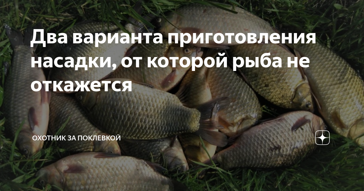 Два варианта приготовления насадки, от которой рыба не откажется ...