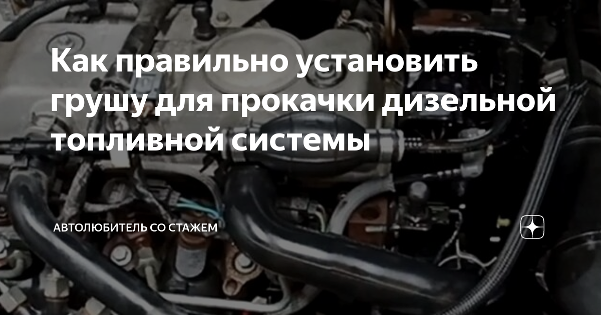 как запечь грушу для прикорма