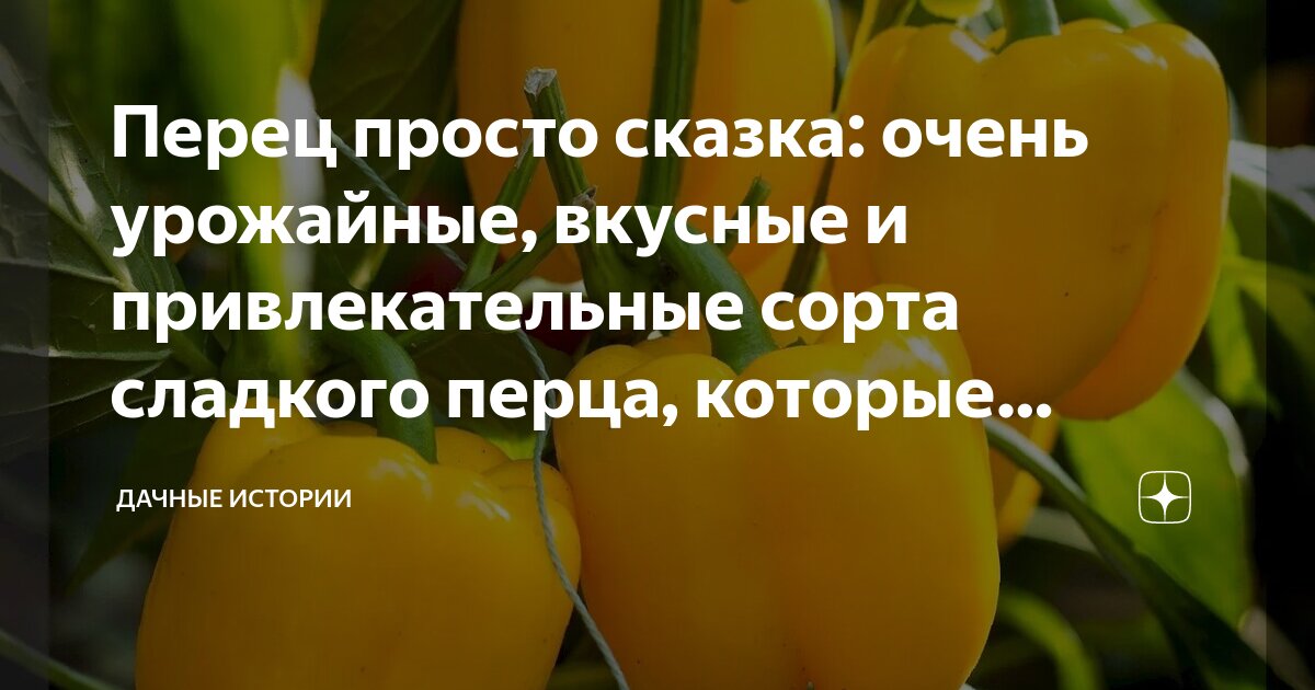 55 отзывов на Перец сладкий "Кузя желтый" семена для дома, для подоконника, для 