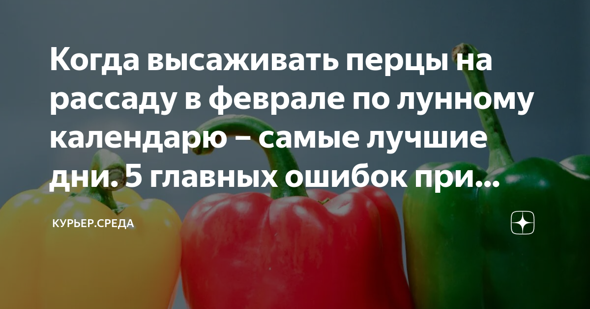 Кукуруза Награда-97 ЦВ/П (ГАВРИШ) 5гр раннеспелый Кукуруза. Семена овощей