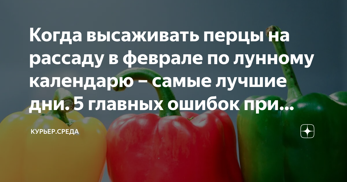 Перец на рассаду в 2023 году по лунному. Посадка перца на рассаду в 2023 году по лунному. Посадка перца на рассаду в 2023 году по лунному календарю. Рассада в феврале.