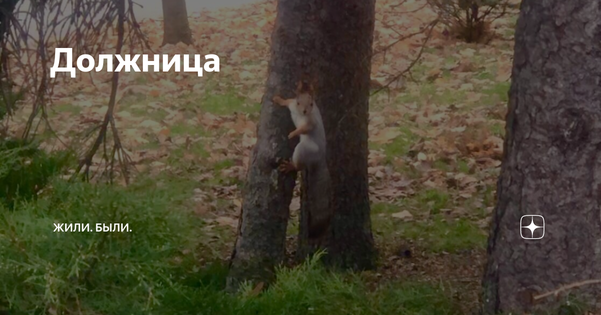 Должница | Читательская гостиная | Дзен
