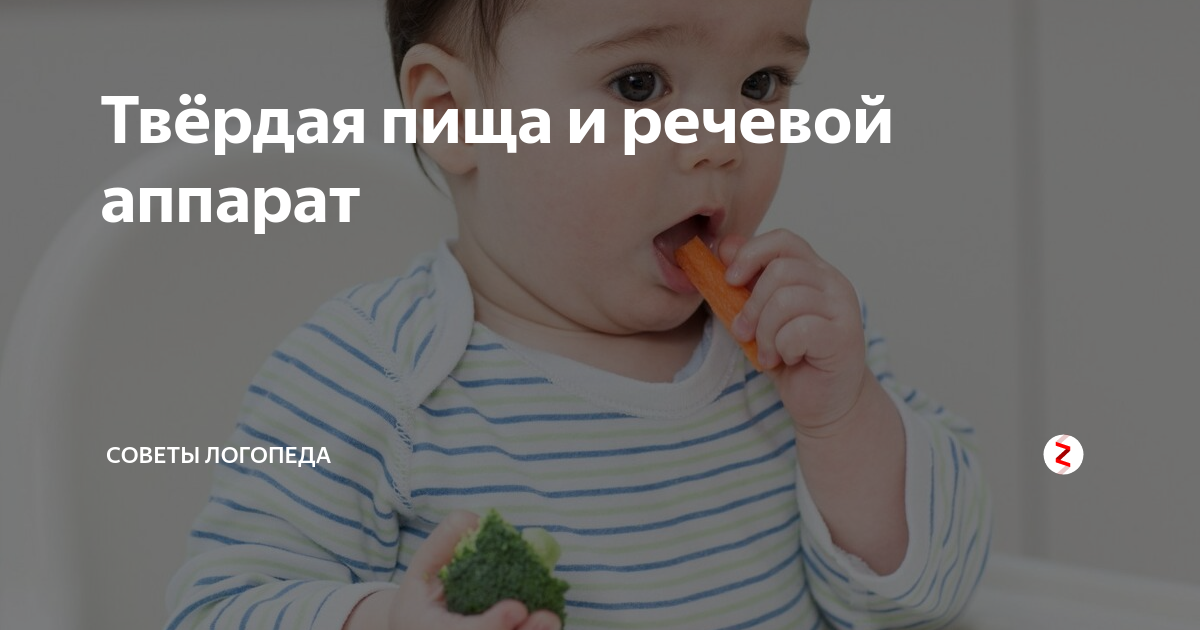 Как научить ребенка жевать твердую пищу. Твердая пища для речевого аппарата. жевание у детей. твердая пища для речевого аппарата у детей. как научить ребёнка жевать твёрдую пищу.
