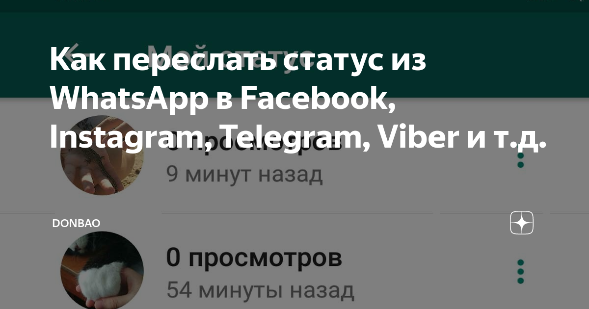 Как запретить пересылку в ватсапе