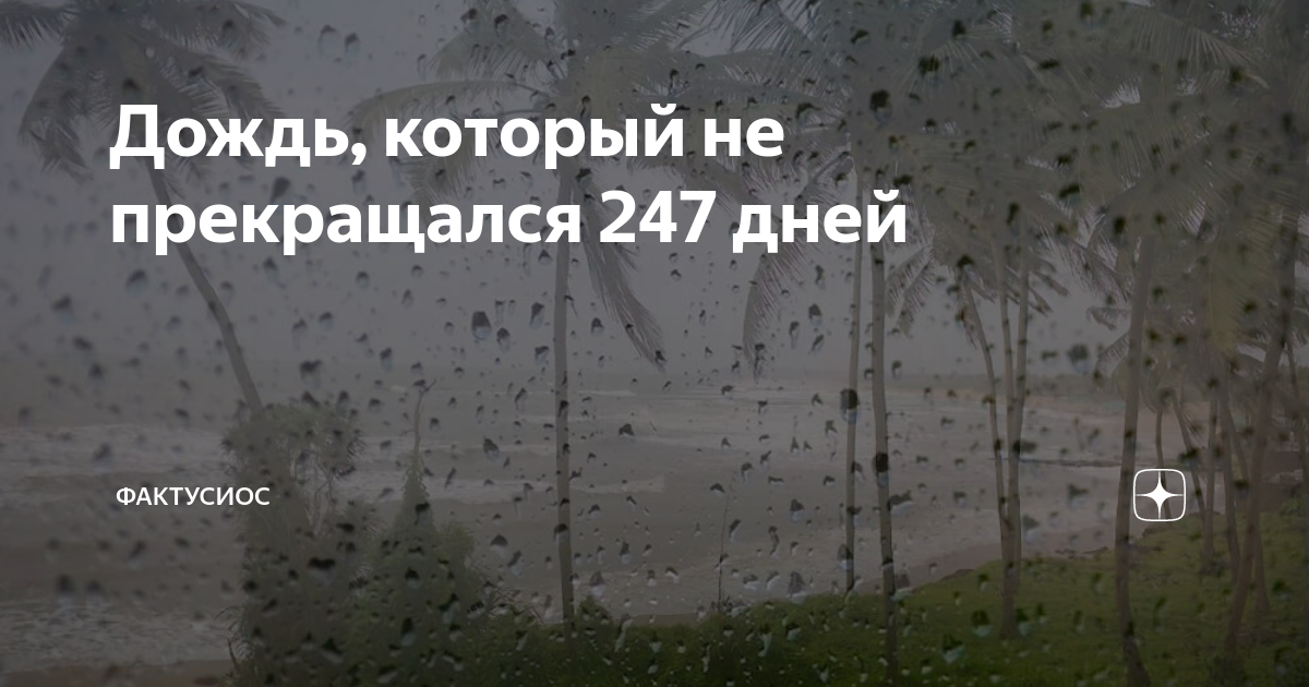 Город долгих дождей. 247 Дней дождь. Самый долгий дождь. Самый долгий дождь на земле длился. Самый продолжительный дождь.