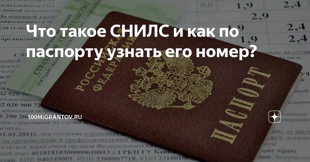 Узнать снилс по фамилии имени. СНИЛС по паспорту. Номер снилса по паспорту. Как узнать СНИЛС по паспорту. СНИЛС гражданина РФ С номером