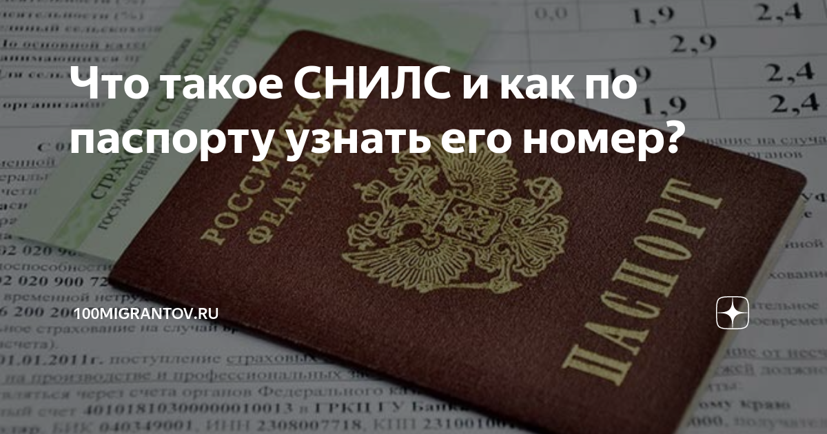 Снилс человека по фамилии имени как узнать. Страховой номер индивидуального лицевого счёта. СНИЛС гражданина РФ С номером.