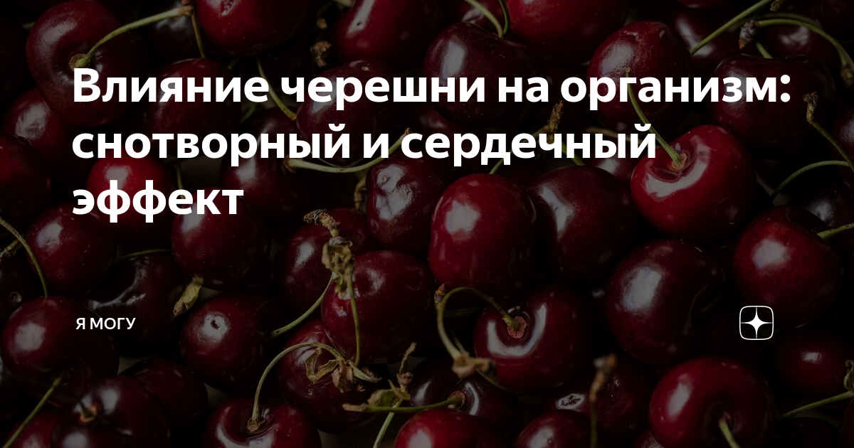 Толстеют ли черешни. Как черешня влияет на кишечник. Черешня при псориазе. Черешня прикол.