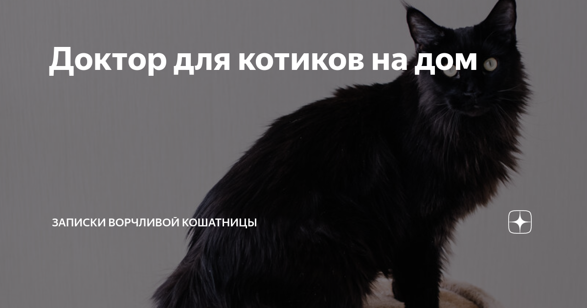 Ворчливой кошатницы дзен. Ворчливой кошатницы дзен. Ворчливой кошатницы дзен. Ворчливой кошатницы дзен. Ворчливой кошатницы дзен.