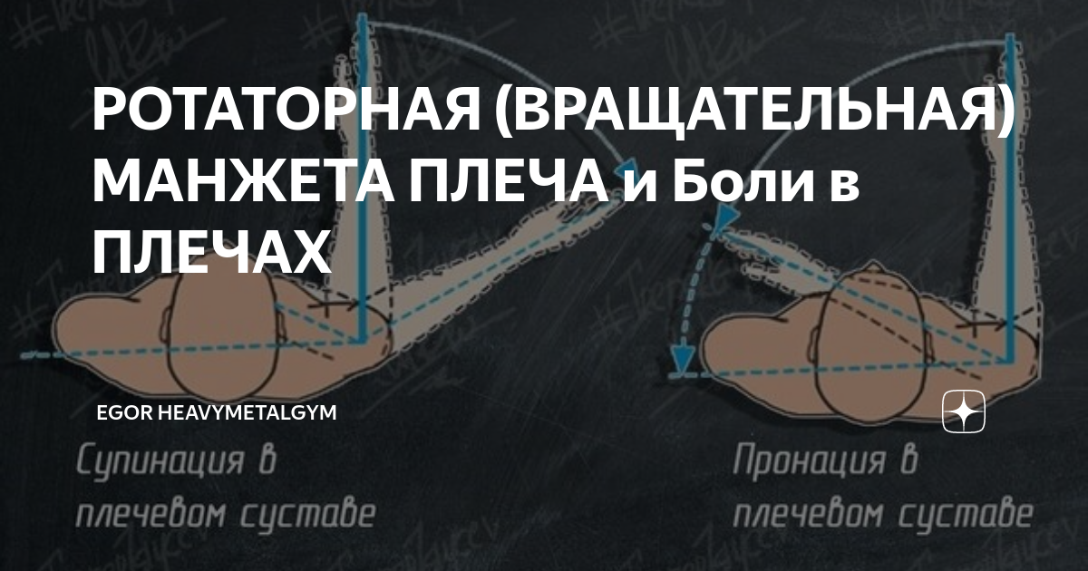 РОТАТОРНАЯ (ВРАЩАТЕЛЬНАЯ) МАНЖЕТА ПЛЕЧА и Боли в ПЛЕЧАХ | Egor ...
