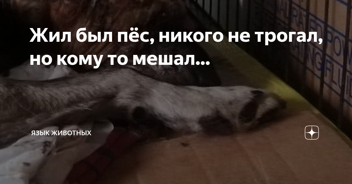 Песня я никого не трогал просто