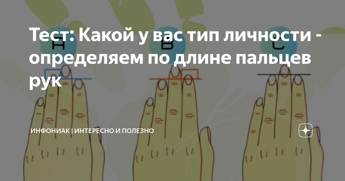 Скажи длина. Характер человека по длине пальцев на руке. Тип личности по длине пальцев рук. Тест по пальцам рук. Тест на характер по пальцам.