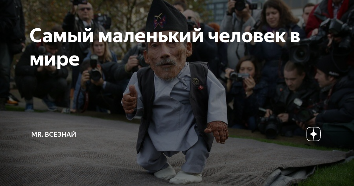 Самый маленький человек в мире | Mr. Всезнай | Дзен