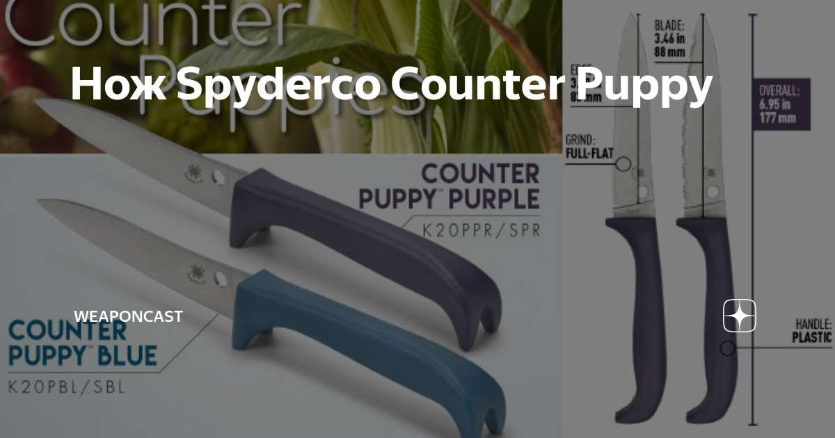 Spyderco K20SPR Counter Puppy Purple