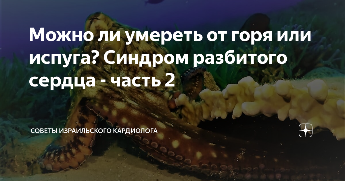 Можно ли умереть от горя или испуга? Синдром разбитого сердца - часть 2 ...