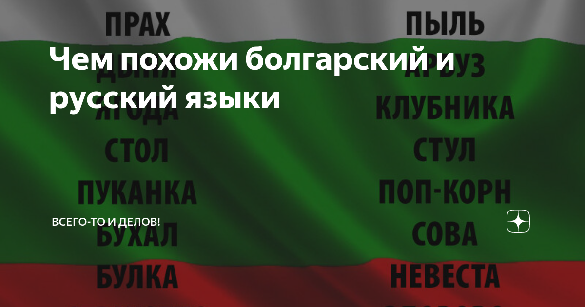 Болгарский язык. Болгарский и русский языки. Болгарский язык похож на русский. Смешной болгарский язык.