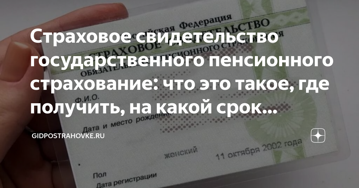 что такое страховое свидетельство