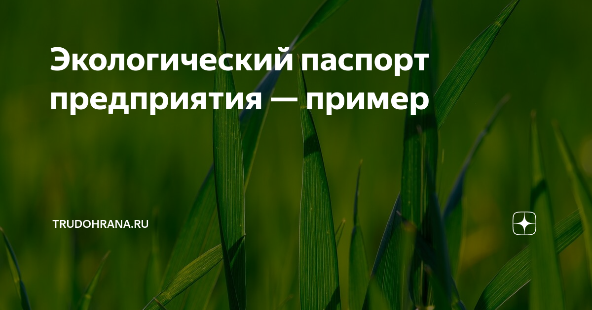 Экологический паспорт предприятия — пример | Trudohrana.ru | Дзен