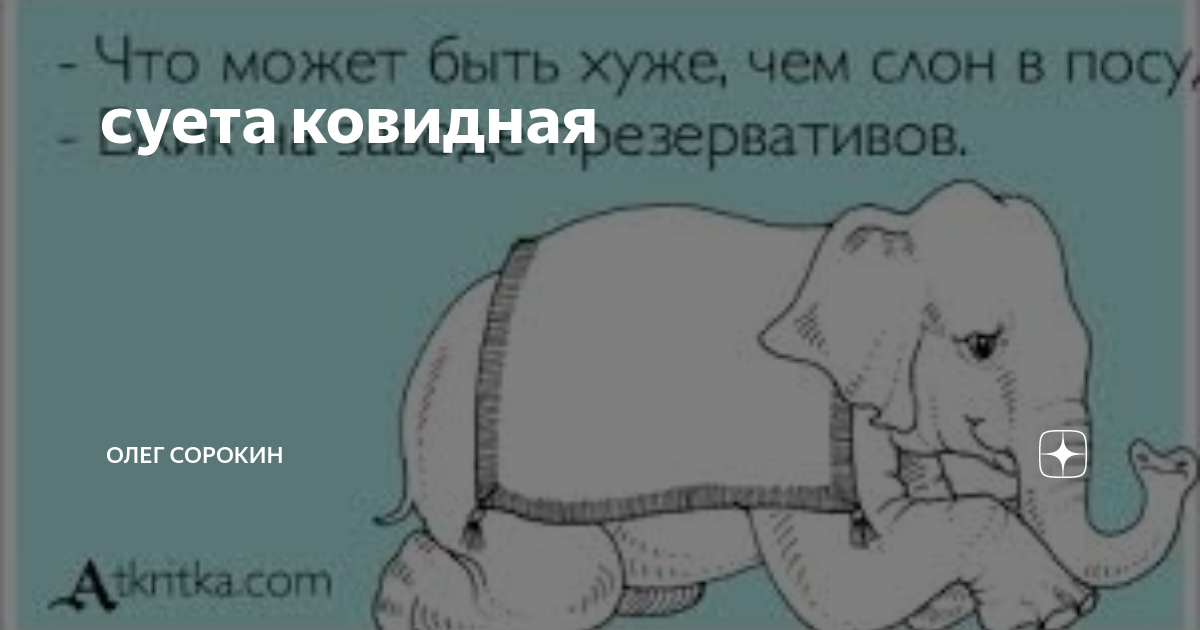 Что означает слон в посудной лавке. Слон в посудной лавке картинки. Слон в посудной лавке фраз. Слон в посудной лавке басня. Слон в посудной лавке прикол.