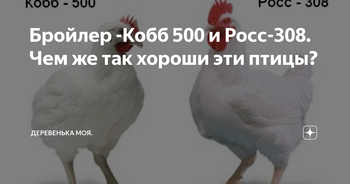 Чем отличается росс 308 от кобб