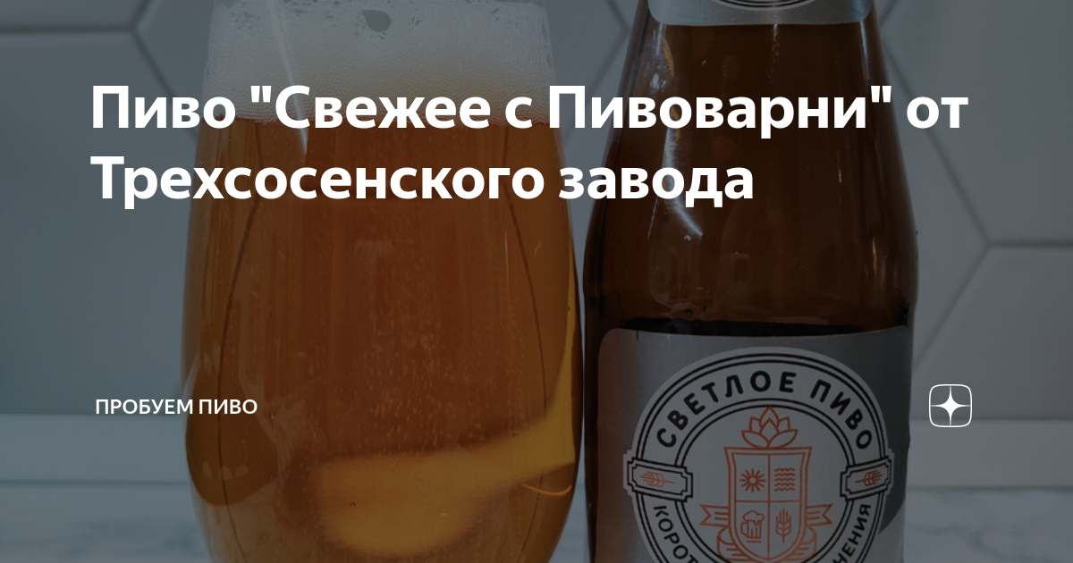 Пиво "Свежее с Пивоварни" от Трехсосенского завода | Пробуем пиво | Дзен