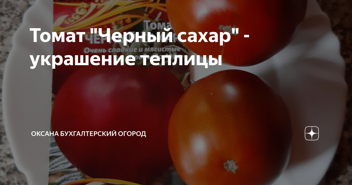 Томат "Черный сахар" - украшение теплицы | Оксана Бухгалтерский огород ...