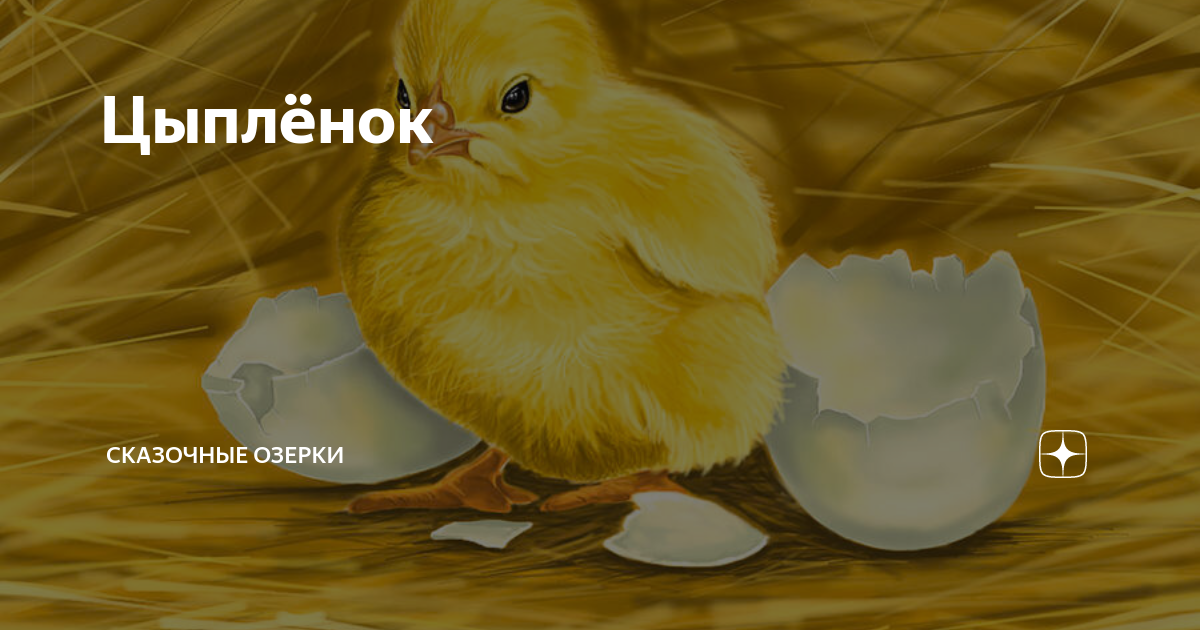 Цыплёнок | Сказочные Озерки | Дзен