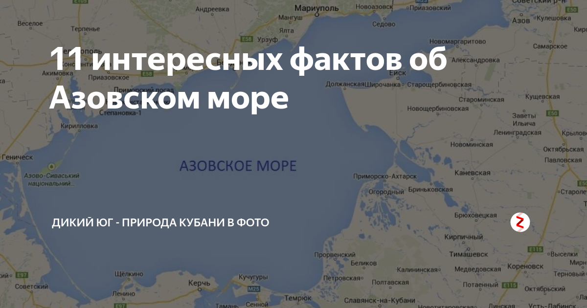 Выберите верный факт об азовском море. Азовское море интересные факты. Факты о Азовском море. Программа Азовского моря. Седово на карте Азовское Азовское море.