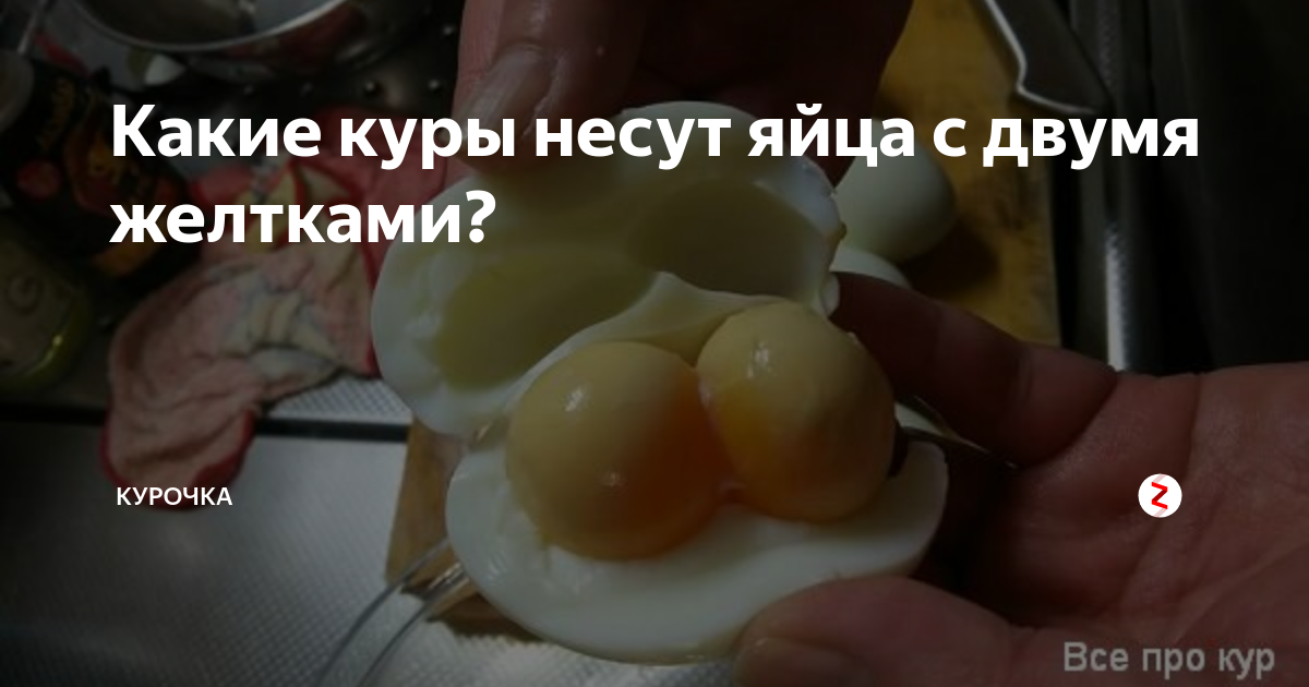 Опасно ли употреблять в пищу яйца с двумя желтками