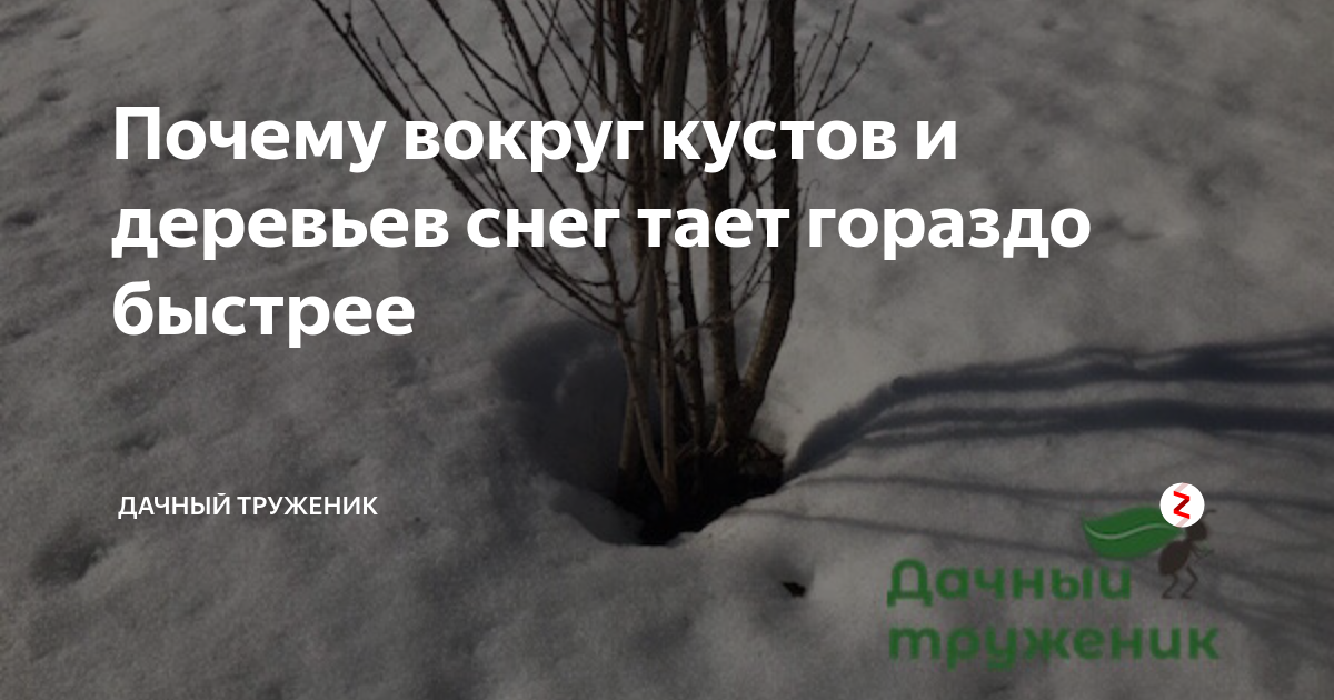 Почему снег тает быстрее в городе, чем в поле: причины и объяснения