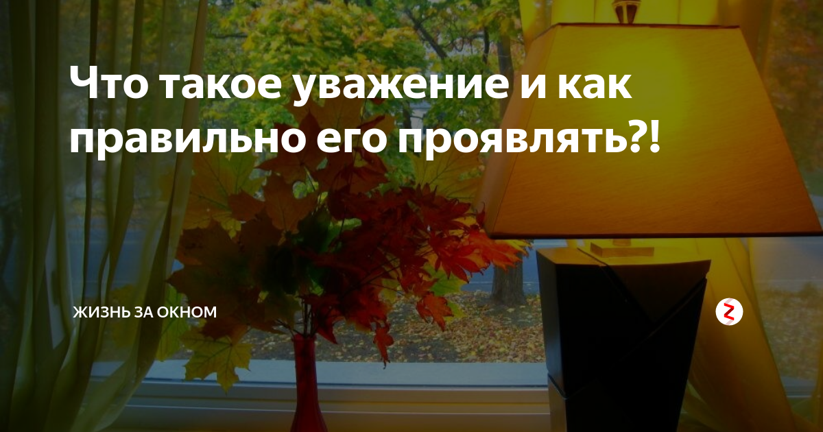 Что такое уважение и как правильно его проявлять?! | ЖИЗНЬ ЗА ОКНОМ | Дзен