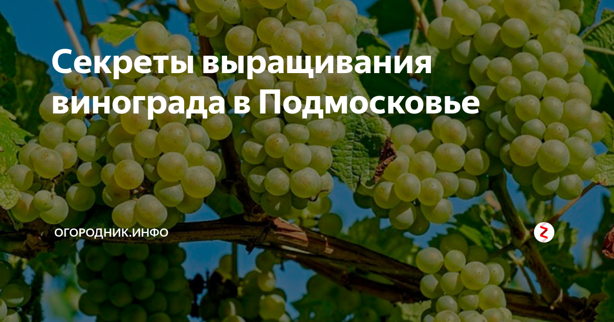 Советы для улучшения структуры грунта