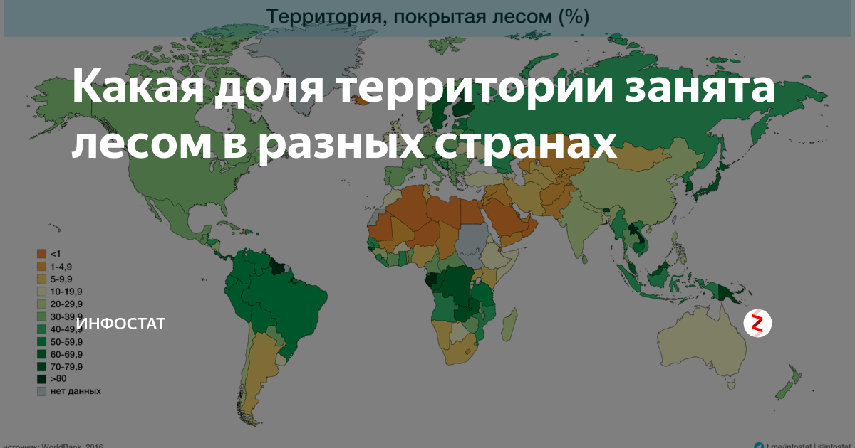 Площадь территории занятая лесом. У какой страны самая наибольшая территория занята лесом. Какую территорию занимает Прайд.