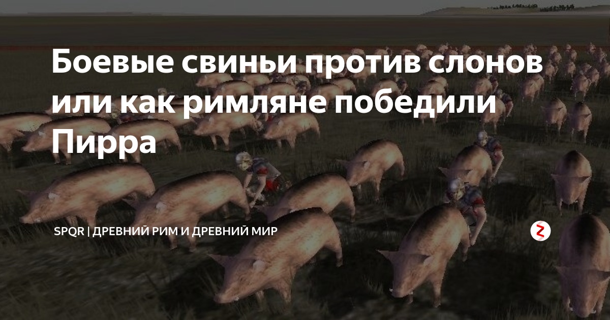 Свинка против. Rome total War горящие свиньи. Боевые свиньи древний Рим. Боевые свиньи против слонов.