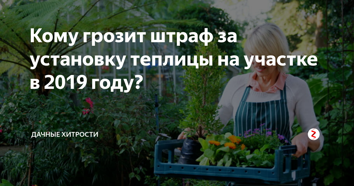Штраф за теплицу на дачном участке - как избежать и причины | Не попадитесь в ловушку