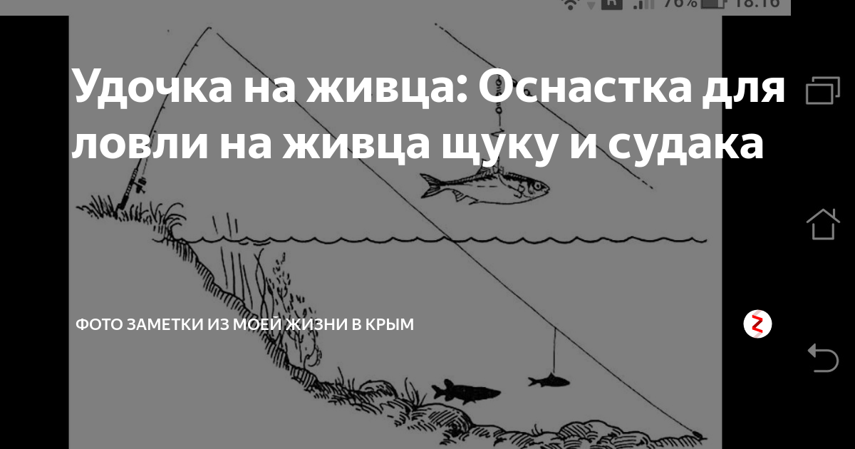 Ловля судака с берега оснастка