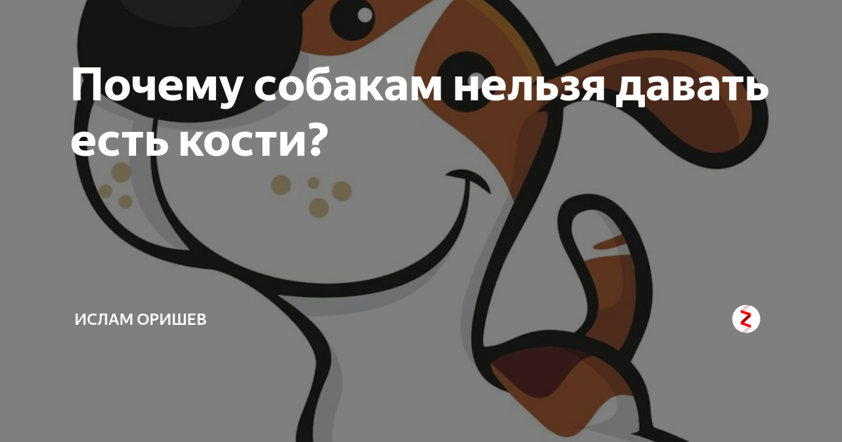какие кости можно собакам. какие кости можно собакам. почему собакам нельзя кости. собачьи кости. трубчатые кости почему нельзя давать собаке.