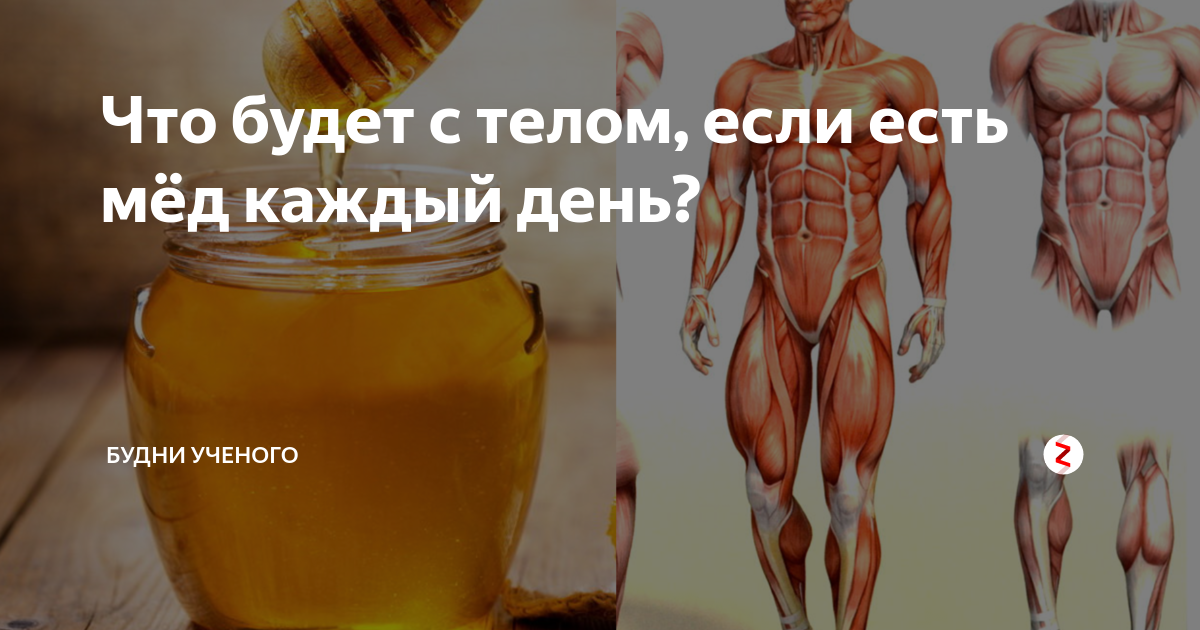 Что будет если было. Что будет если каждый день есть мед. Что будет с организмом если есть мед каждый день. Зачем есть мёд каждый день. Что будет если употреблять мед каждый день