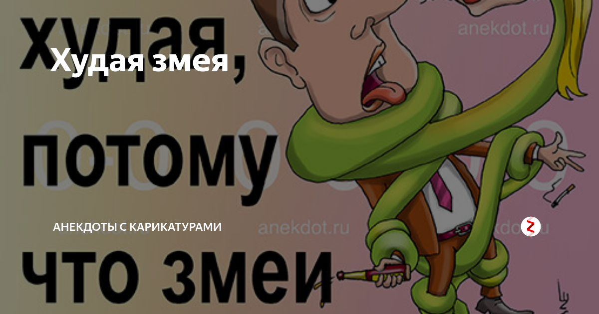 Потому что змея. Потому что змея. Интересные рассказы о рептилиях. Шутки про змей. Дружный женский коллектив змеи.