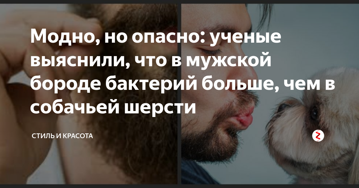 Борода микробы. Мужик с бородой. Микробы в бороде. Борода. Микробы в бороде.