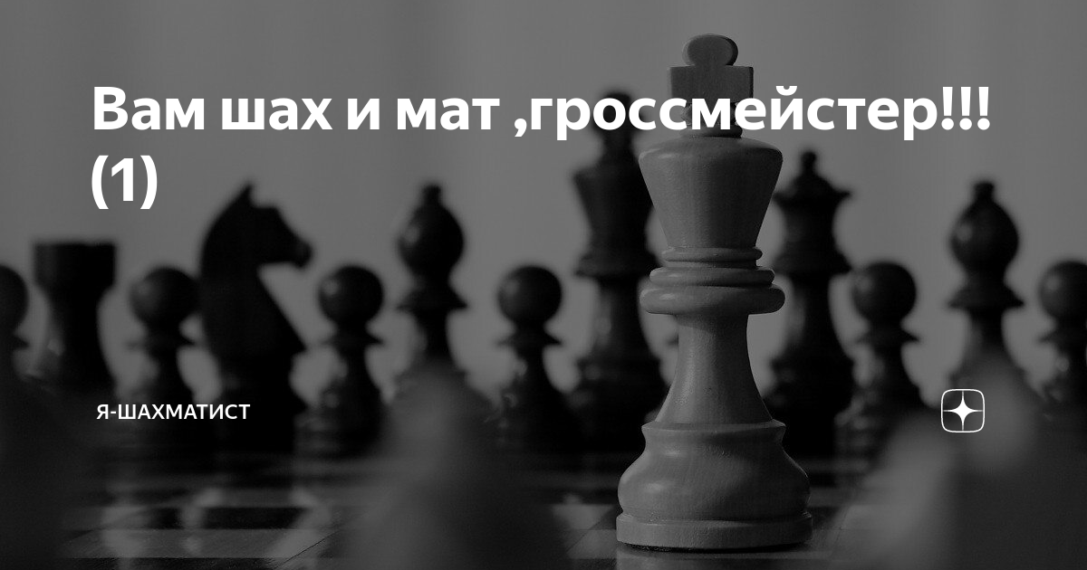 Шахов блог цитаты в картинках