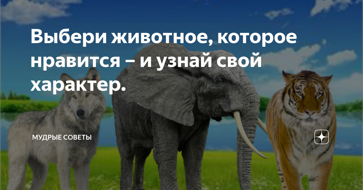 Выбери животное какое хочешь. Выбери животное. звери выбор. выборы зверей. тест животное. которое ты выберешь.