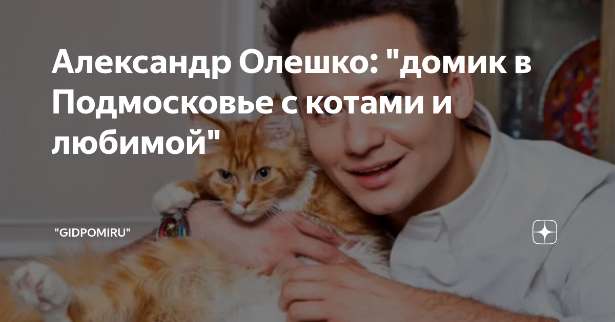 Коты олешко фото