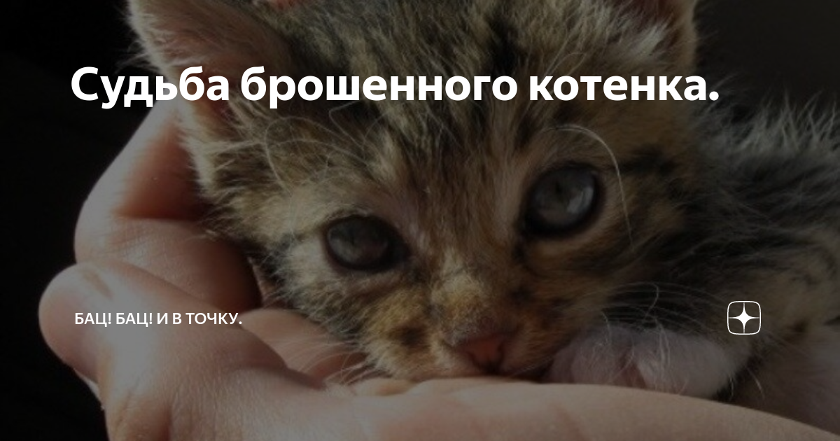 Судьба бросившего. Судьба бросившего