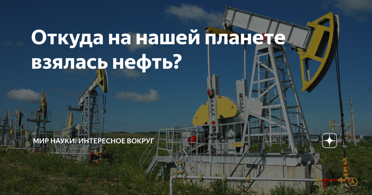 Откуда на нашей планете взялась нефть? | МИР НАУКИ: интересное вокруг ...