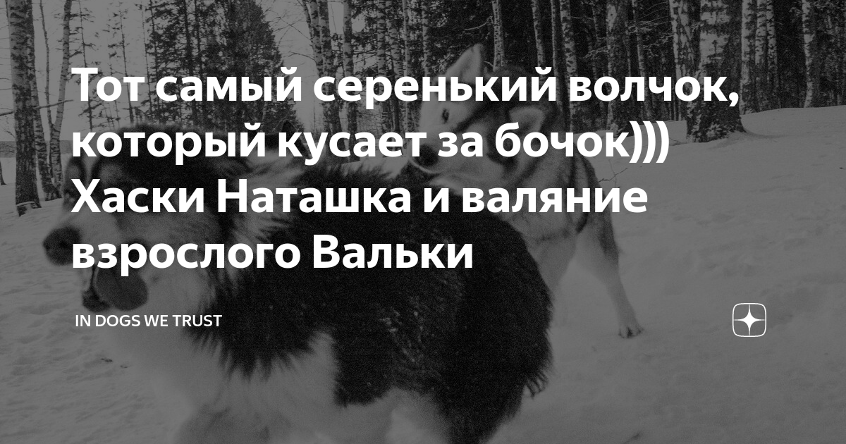 не ложися на краю придёт серенький волчок и укусит за бочок