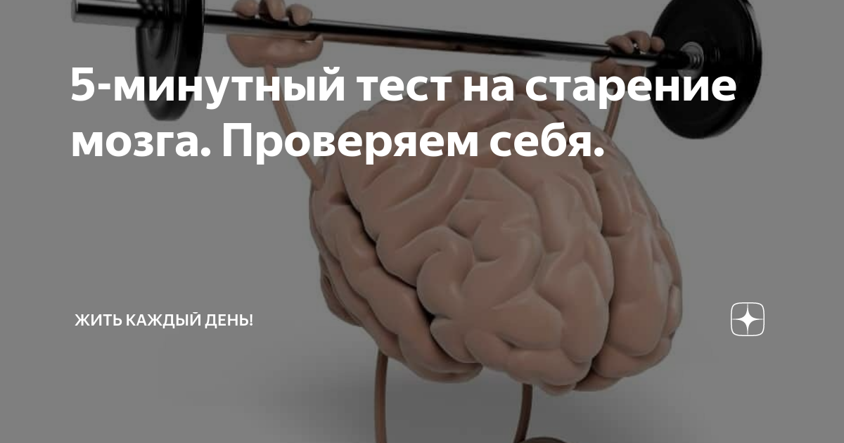Японский тест на старение мозга картинка ответы