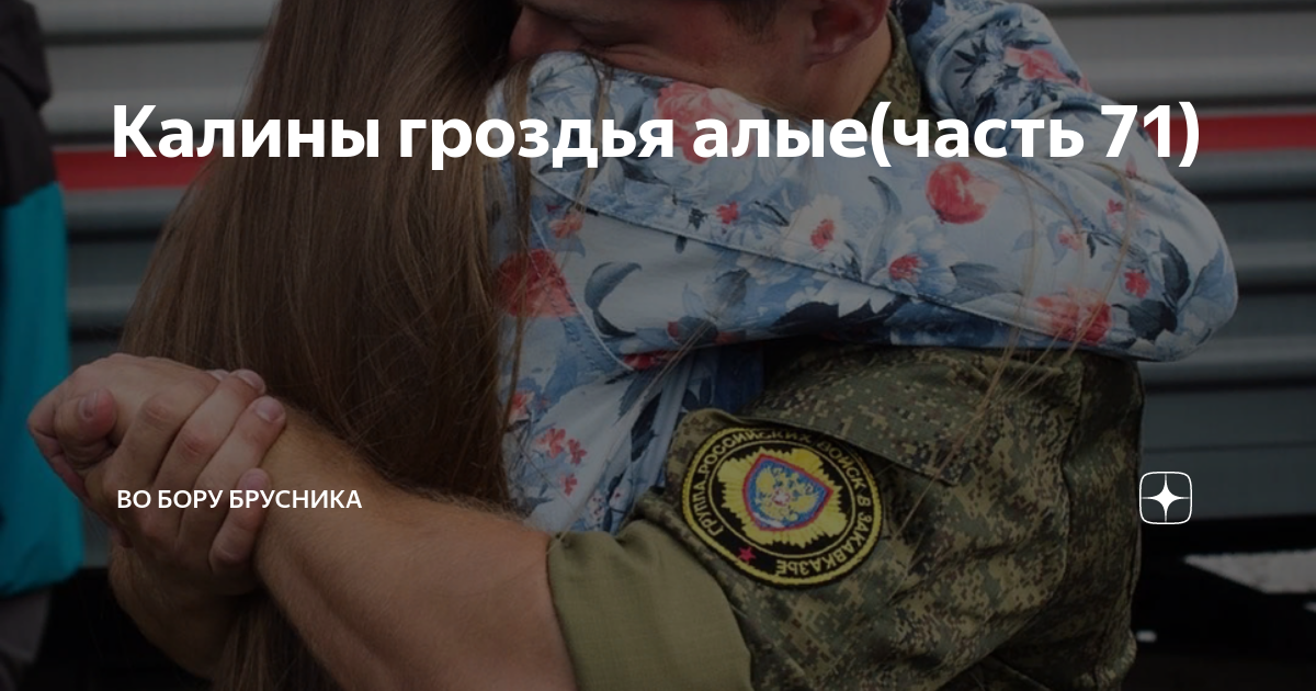 Калины гроздья алые рассказ